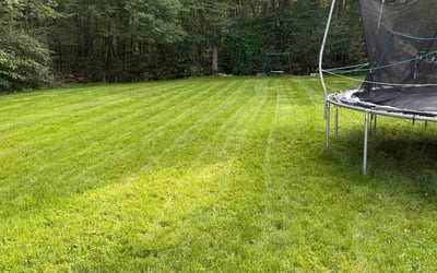 Photo of Eleanor C.'s yard after getting lawn care in Santa Rosa, CA