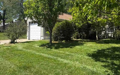 Photo of Raheelah K.'s yard after getting lawn care in Monroeville, PA