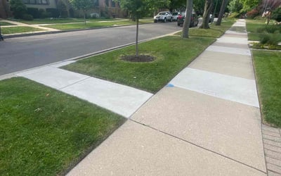 Photo of Dyanna V.'s yard after getting lawn care in Chicago, IL