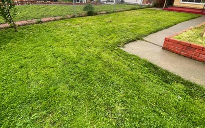 Photo of Harriet W.'s yard after getting lawn care in Castro Valley, CA