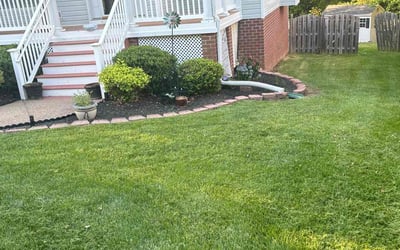 Photo of Megan M.'s yard after getting lawn care in Chester, VA
