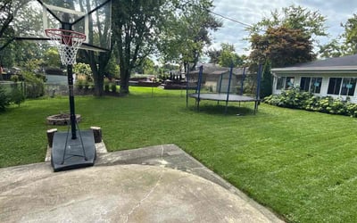 Photo of Emily F.'s yard after getting lawn care in Kennett Square, PA