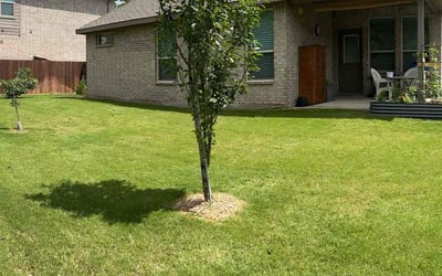 Photo of Olivia S.'s yard after getting lawn care in Brooklyn, NY