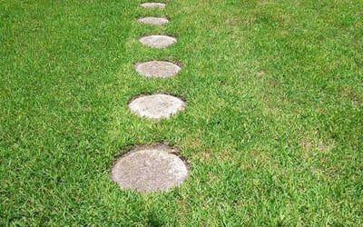 Photo of Kathy M.'s yard after getting lawn care in Wyckoff, NJ