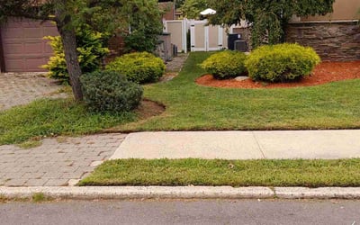 Photo of John B.'s yard after getting lawn care in Keansburg, NJ