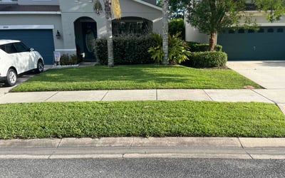 Photo of Moe M.'s yard after getting lawn care in Farmington Hills, MI