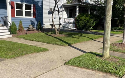 Photo of Marggi M.'s yard after getting lawn care in Rowlett, TX