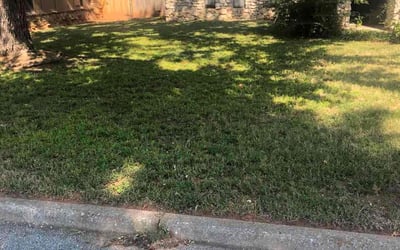 Photo of Amy H.'s yard after getting lawn care in Moore, SC