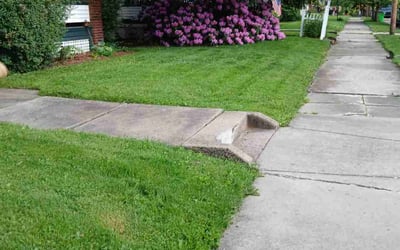 Photo of Donna C.'s yard after getting lawn care in Alliance, OH