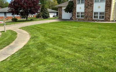Photo of Sammy L.'s yard after getting lawn care in Springfield, IL