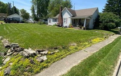 Photo of Angela J.'s yard after getting lawn care in Bridgeton, NJ