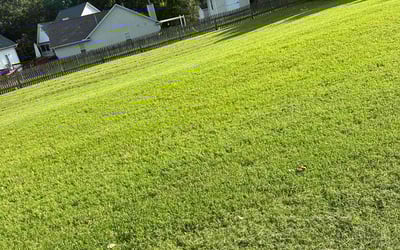 Photo of Dillon G.'s yard after getting lawn care in Clemmons, NC