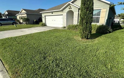 Photo of Damonae O.'s yard after getting lawn care in Arcadia, CA