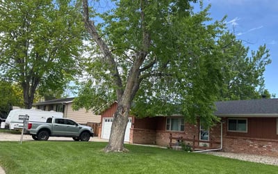 Photo of Federico P.'s yard after getting lawn care in Loveland, CO