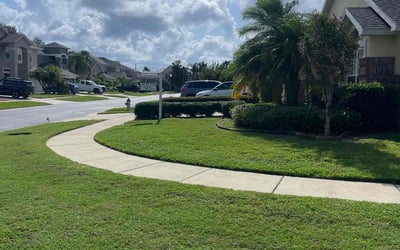 Photo of Ferdy D.'s yard after getting lawn care in Orlando, FL