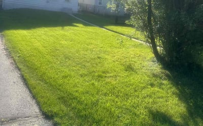 Photo of Blayne K.'s yard after getting lawn care in Whitehall, PA