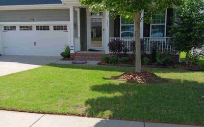 Photo of Anne S.'s yard after getting lawn care in Louisburg, NC