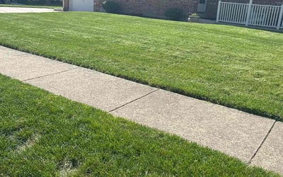 Photo of Ryan D.'s yard after getting lawn care in Harpers Ferry, WV