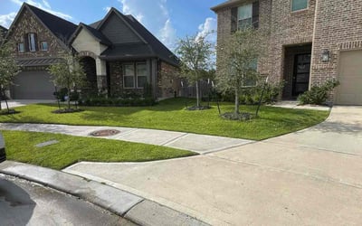 Photo of Michelle P.'s yard after getting lawn care in Dallas, GA