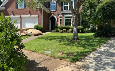 Photo of Megan R.'s yard after getting lawn care in Vienna, VA