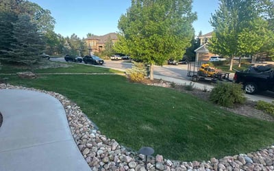 Photo of Luann P.'s yard after getting lawn care in Boulder, CO