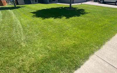 Photo of Ronald M.'s yard after getting lawn care in Brooklyn Park, MN