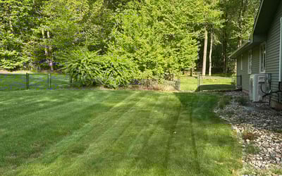 Photo of Pam W.'s yard after getting lawn care in San Antonio, TX