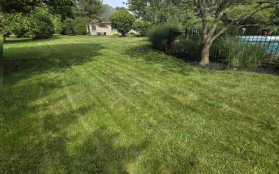 Photo of Margaret H.'s yard after getting lawn care in Virginia Beach, VA