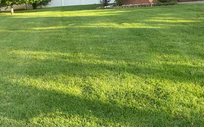 Photo of Ike P.'s yard after getting lawn care in Roswell, GA