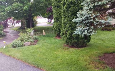 Photo of Gloria A.'s yard after getting lawn care in Worcester, MA