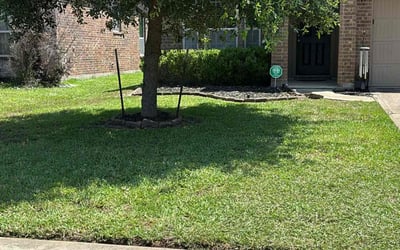 Photo of Matt G.'s yard after getting lawn care in Cloverleaf, TX