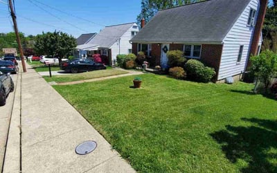 Photo of Susan S.'s yard after getting lawn care in Rosedale, MD