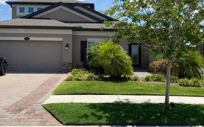 Photo of Cristopher A.'s yard after getting lawn care in Lutz, FL