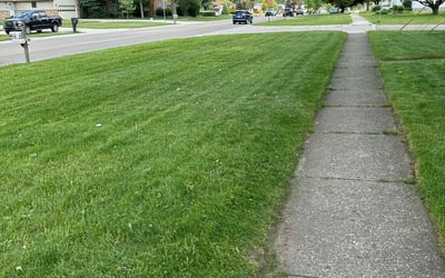 Photo of Meadow M.'s yard after getting lawn care in Franklin, MI
