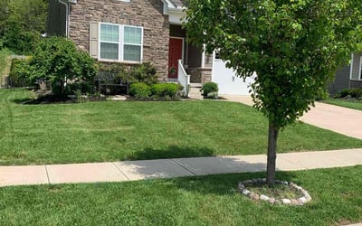 Photo of Taylor T.'s yard after getting lawn care in Little Rock, AR