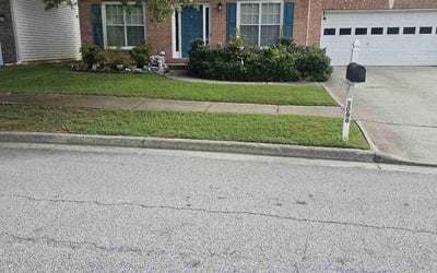Photo of Latashae M.'s yard after getting lawn care in Augusta, GA