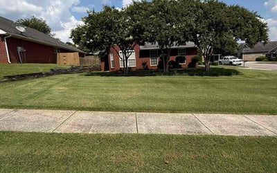 Photo of John S.'s yard after getting lawn care in Lowell, MA