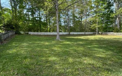 Photo of Christine J.'s yard after getting lawn care in Midlothian, IL