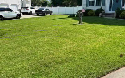 Photo of Regina H.'s yard after getting lawn care in Greentree, NJ