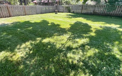 Photo of Falicha B.'s yard after getting lawn care in Andover, MN