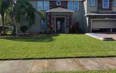 Photo of Bryan G.'s yard after getting lawn care in Tampa, FL