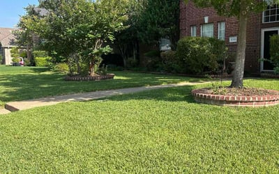 Photo of Garett K.'s yard after getting lawn care in Rockwall, TX