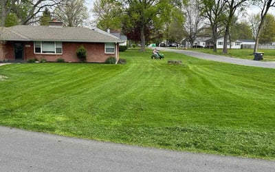 Photo of Ruth B.'s yard after getting lawn care in Anderson, IN