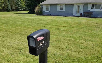 Photo of Kelsey H.'s yard after getting lawn care in Cortland, OH