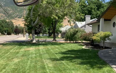 Photo of Kimber S.'s yard after getting lawn care in Camp Hill, PA