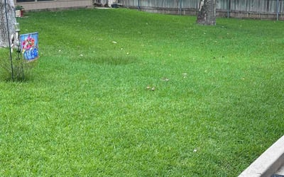 Photo of Sherie P.'s yard after getting lawn care in Grand Island, NY
