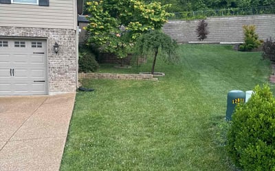 Photo of mike d.'s yard after getting lawn care in Arnold, MO