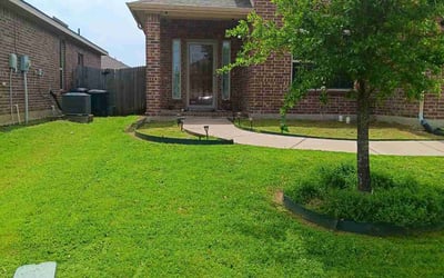 Photo of Alex T.'s yard after getting lawn care in Port Charlotte, FL