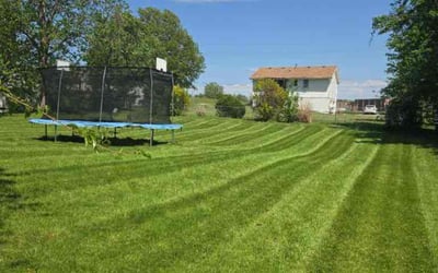 Photo of Bill M.'s yard after getting lawn care in Gladstone, MO