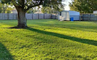 Photo of Corey H.'s yard after getting lawn care in Grand Bay, AL